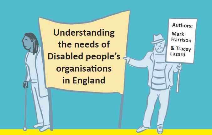 Understanding the needs of DPO's in England